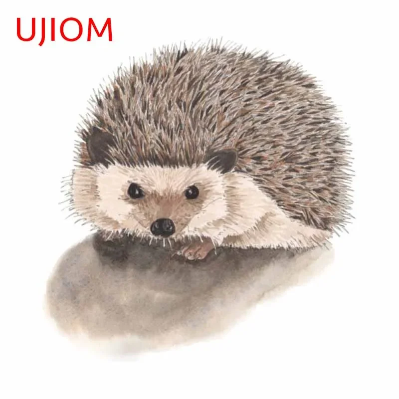 Baby Nursery Vinyl Wall Stickers - UJIOM 13cm Funny Hedgehog Cute Wall
