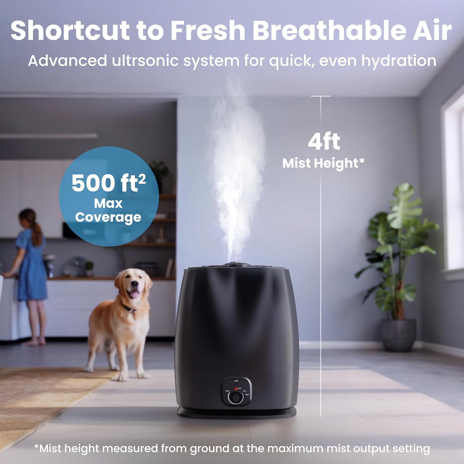 6L Cool Mist Humidifier for Be - Baby Nursery Images Free recension och pris